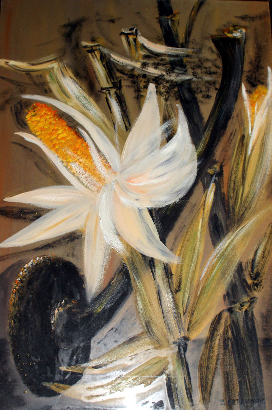 Zvonko Petanović Slavonski Brod